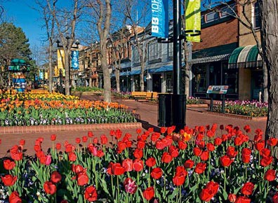 Downtown Boulder, CO