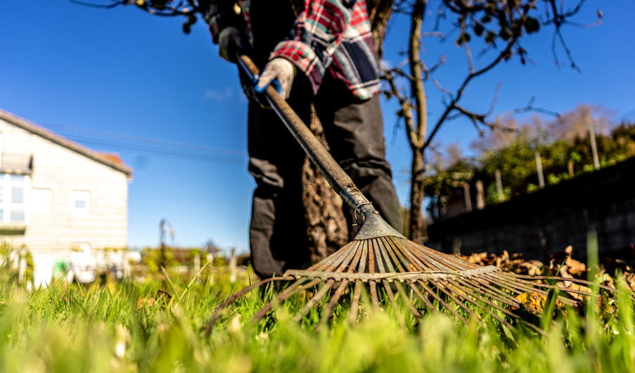 man with a rake picking up leaves that fall from a tree on his rental property